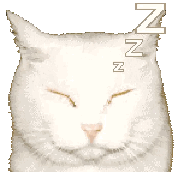 the cutest sleepy kitty!!!